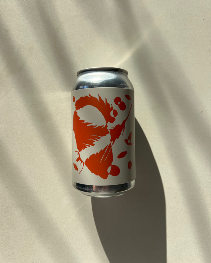 Twice on Sundays (4-Pack)