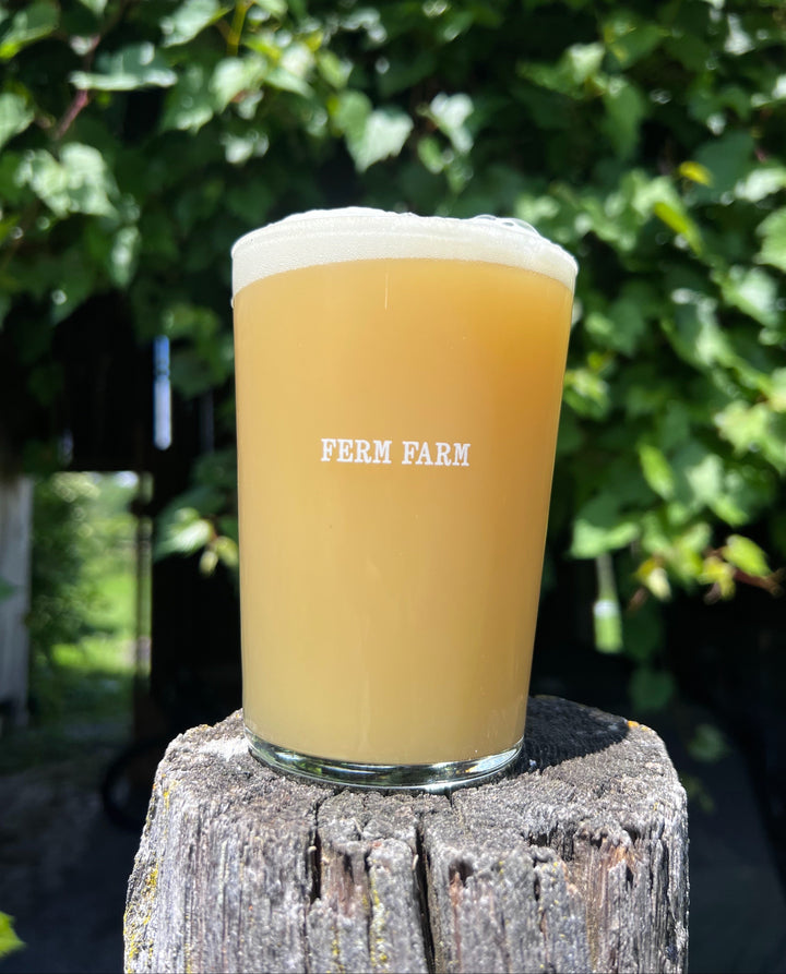 Back to the Well